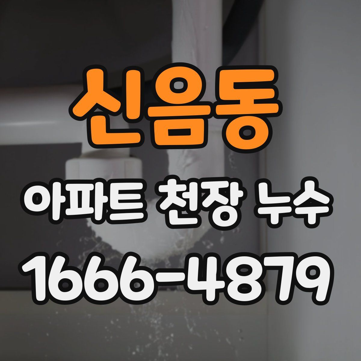 신음동 아파트 천장 누수