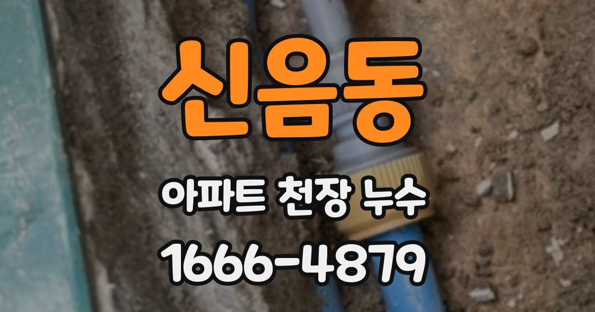 신음동 아파트 천장 누수