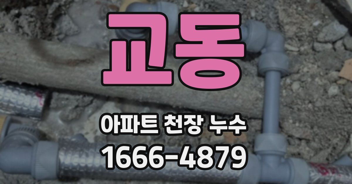 교동 아파트 천장 누수
