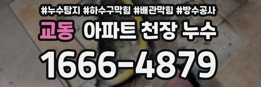 교동 아파트 천장 누수