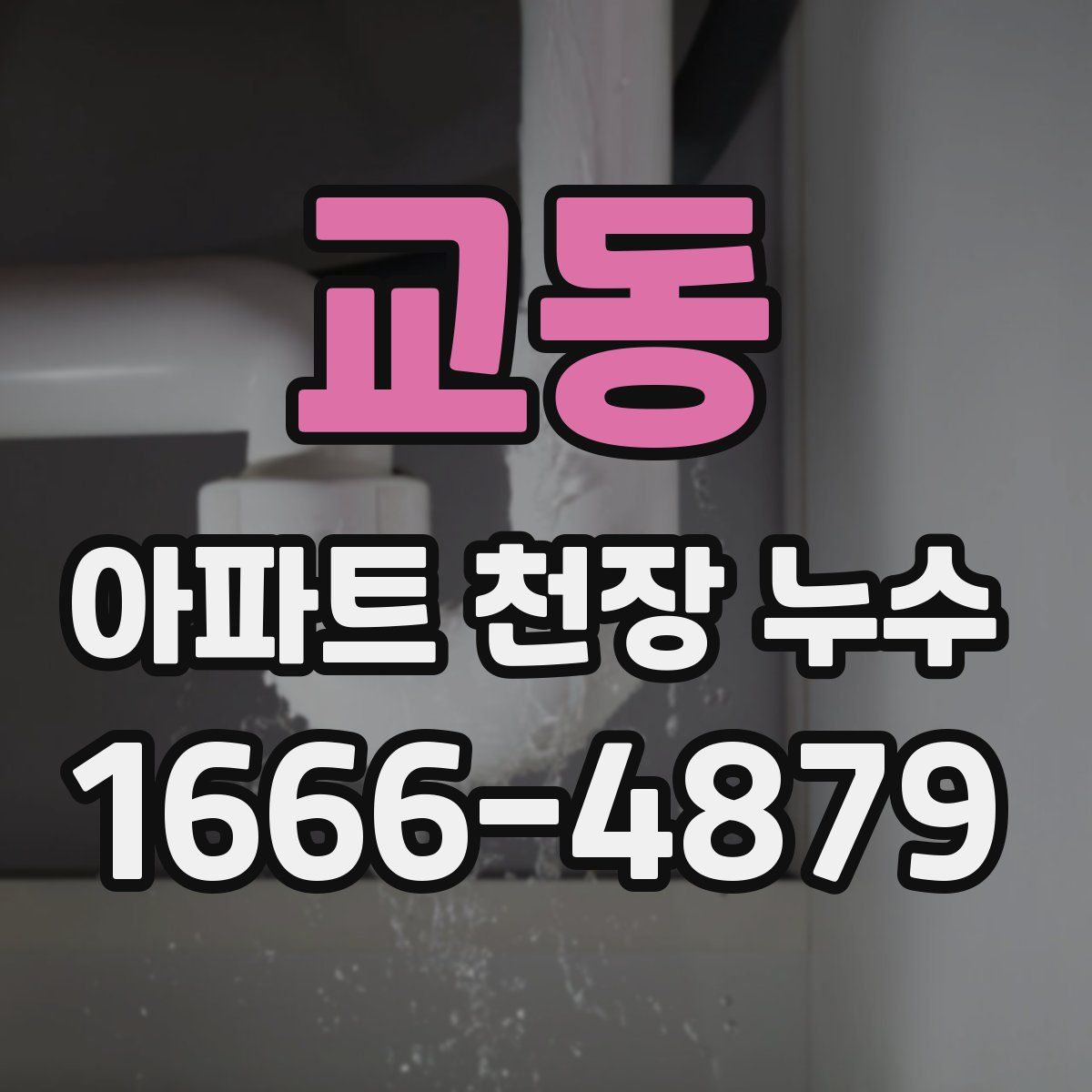 교동 아파트 천장 누수