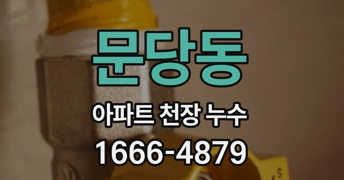 문당동 아파트 천장 누수