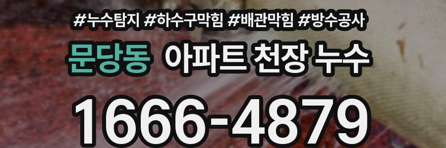 문당동 아파트 천장 누수