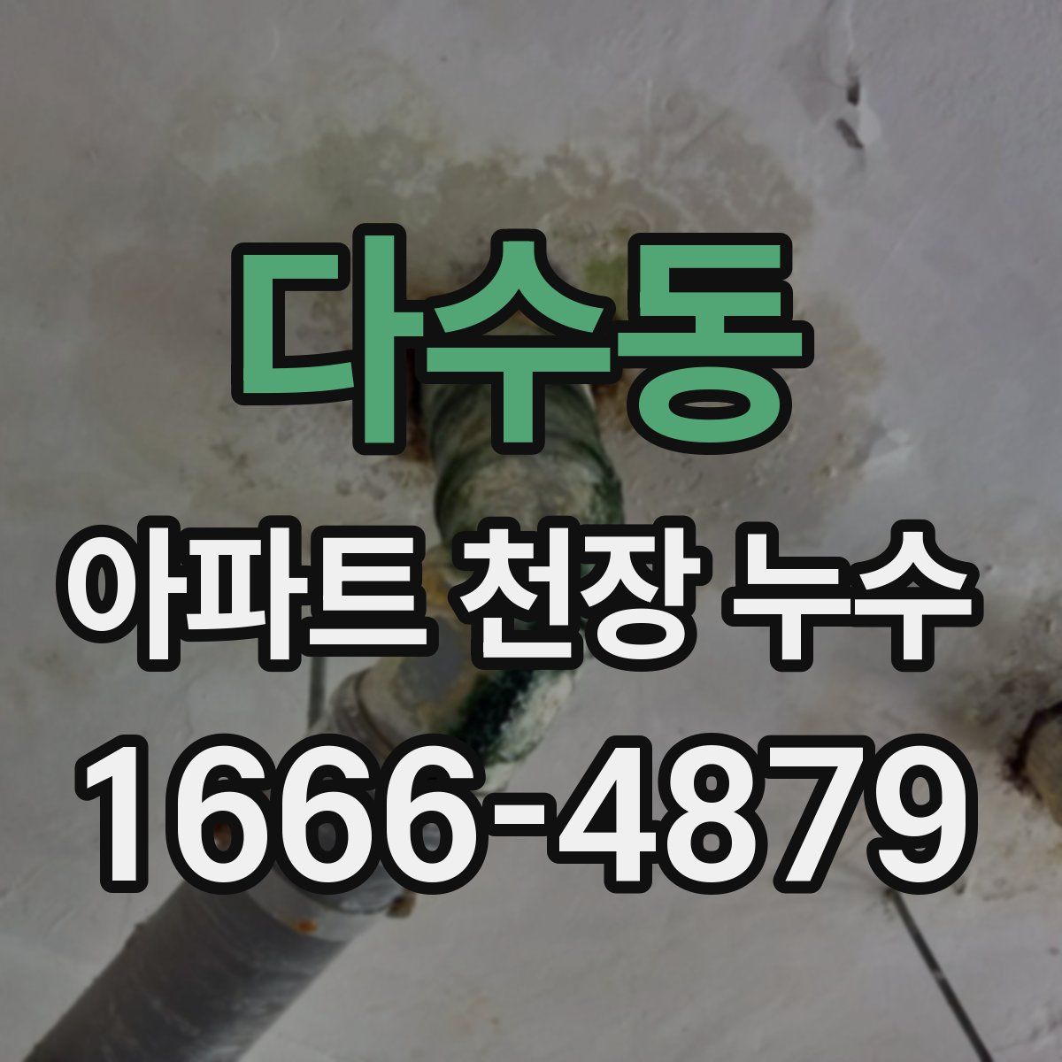 다수동 아파트 천장 누수