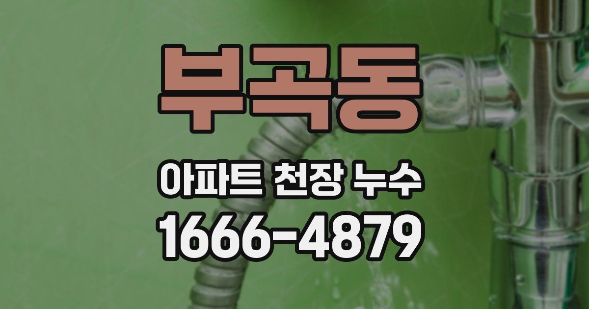부곡동 아파트 천장 누수