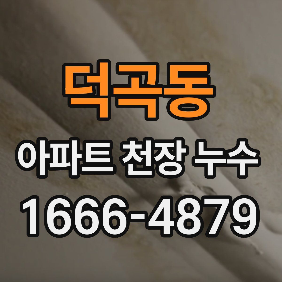 덕곡동 아파트 천장 누수