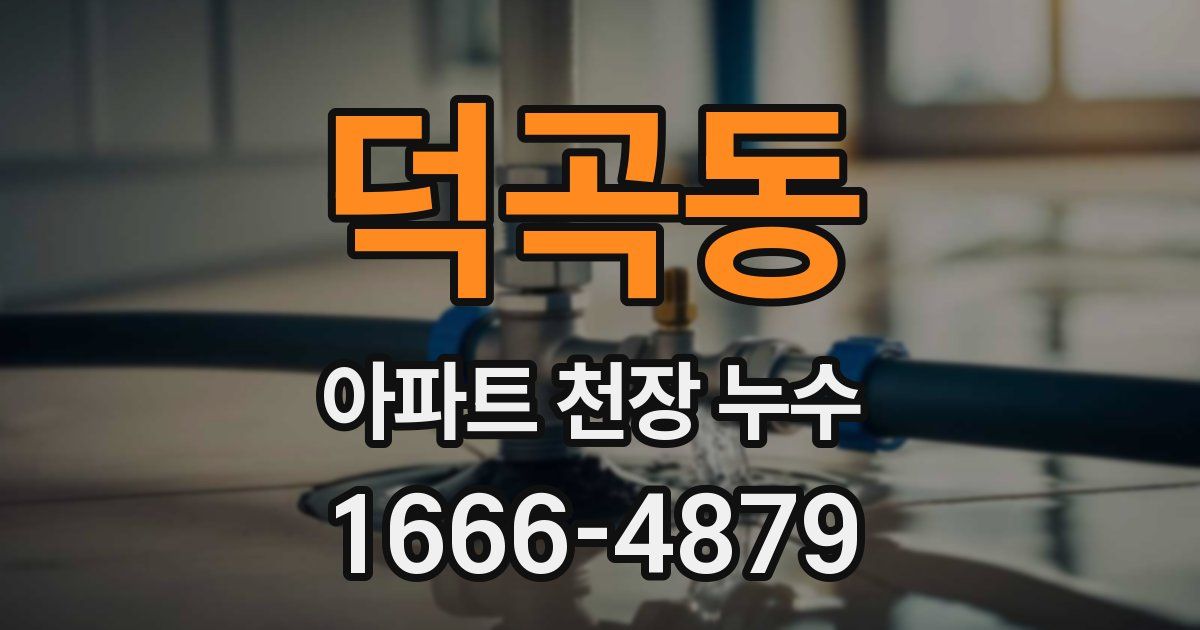 덕곡동 아파트 천장 누수