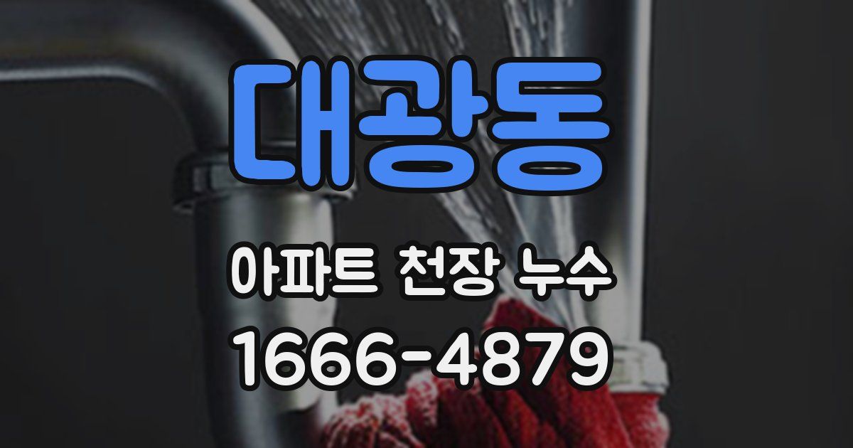 대광동 아파트 천장 누수