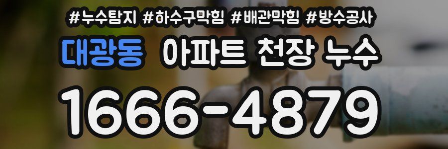 대광동 아파트 천장 누수