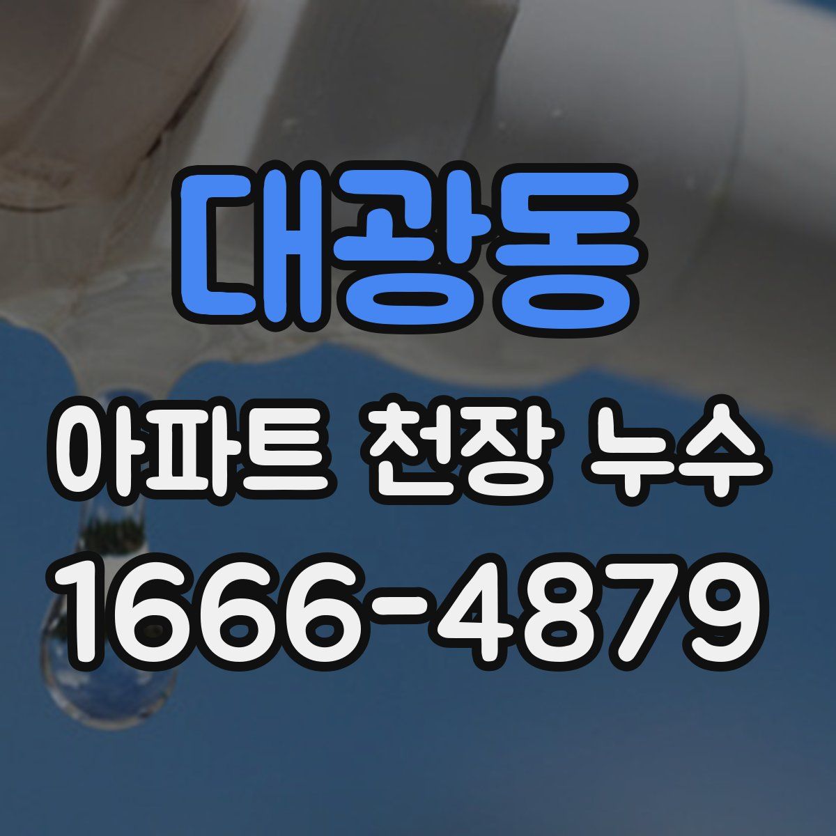 대광동 아파트 천장 누수