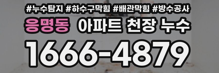응명동 아파트 천장 누수