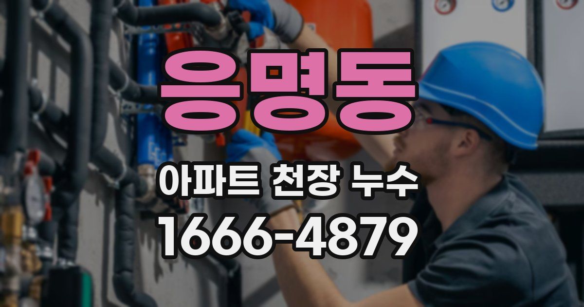 응명동 아파트 천장 누수