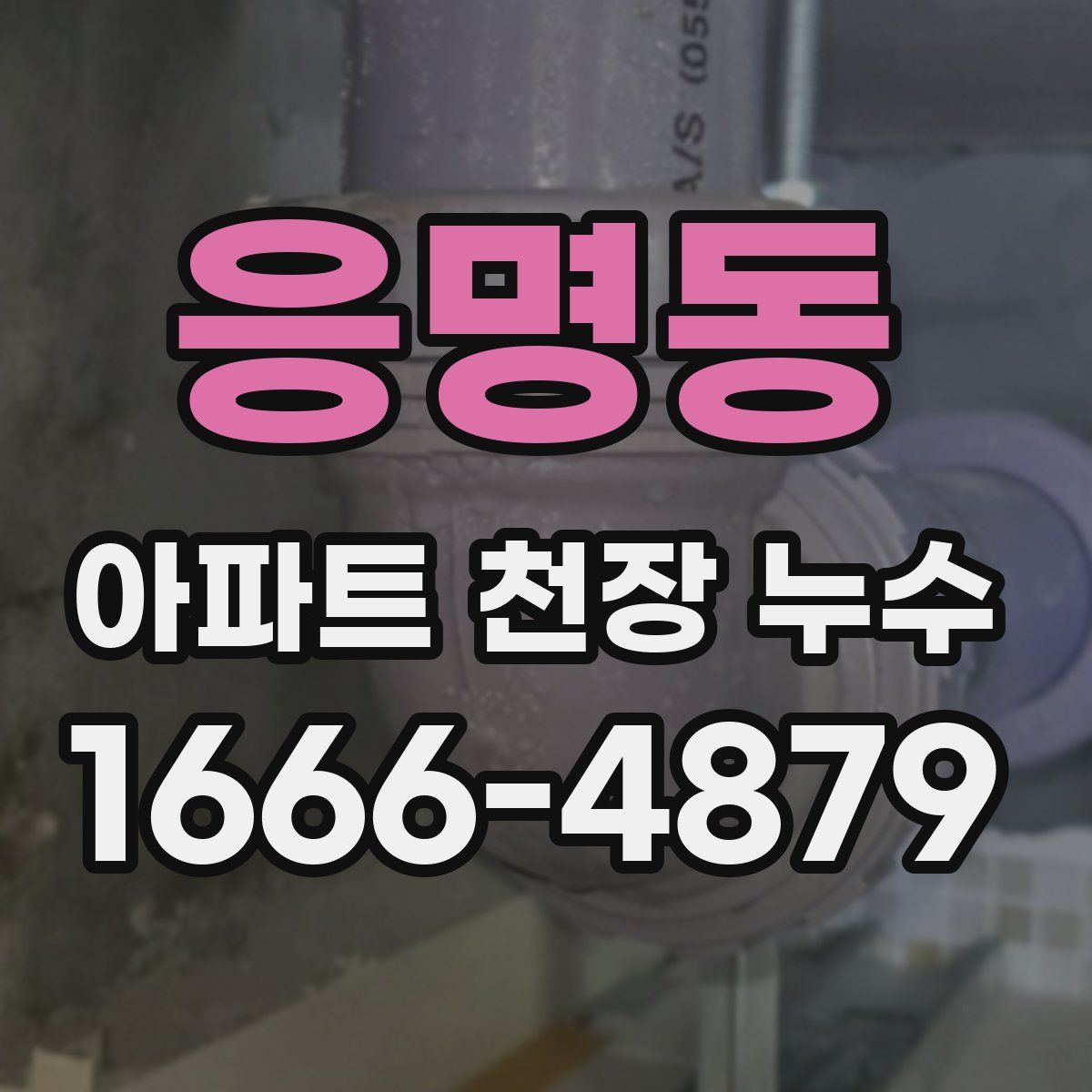 응명동 아파트 천장 누수