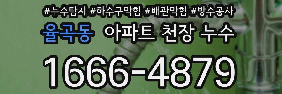 율곡동 아파트 천장 누수