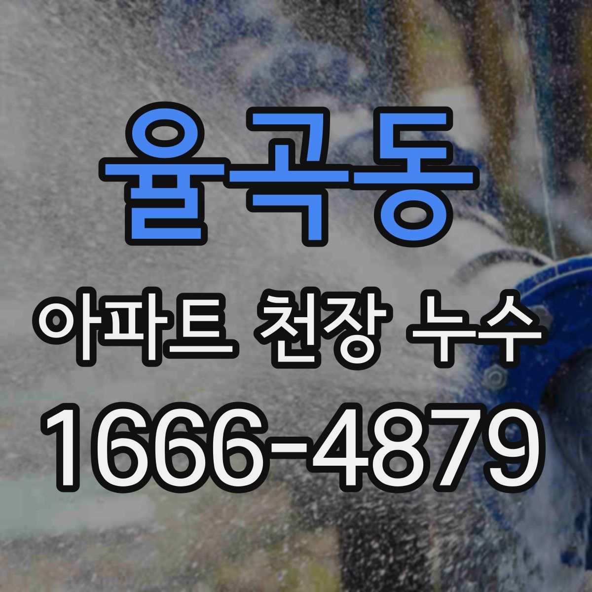 율곡동 아파트 천장 누수