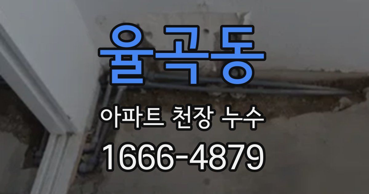 율곡동 아파트 천장 누수