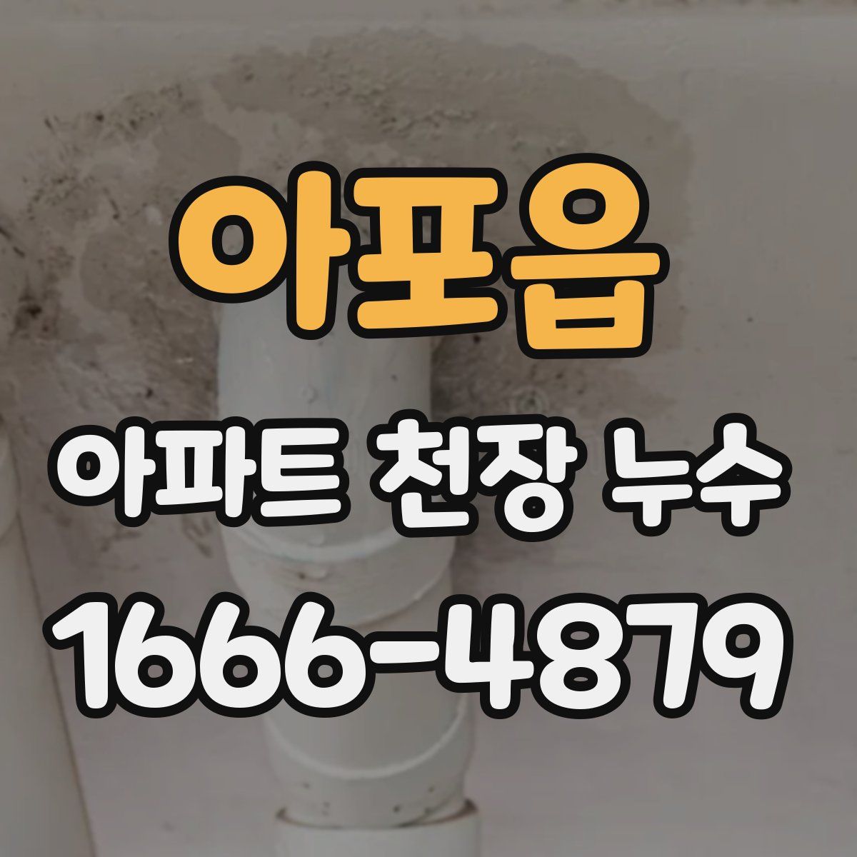 아포읍 아파트 천장 누수