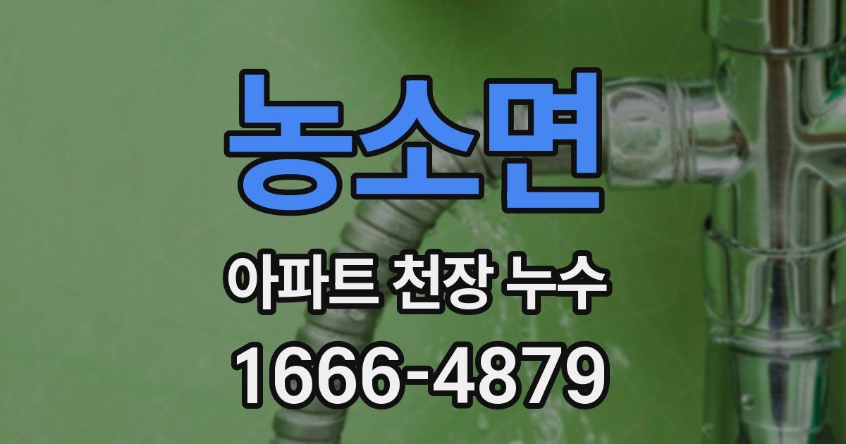 농소면 아파트 천장 누수