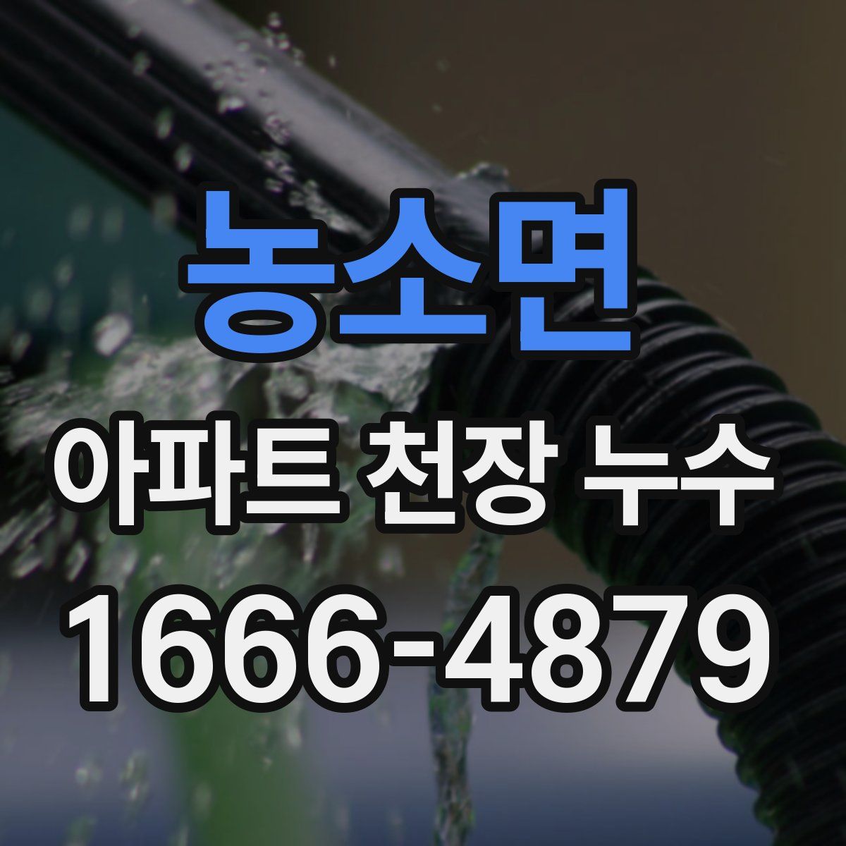 농소면 아파트 천장 누수
