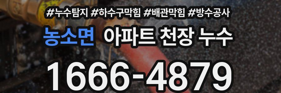 농소면 아파트 천장 누수