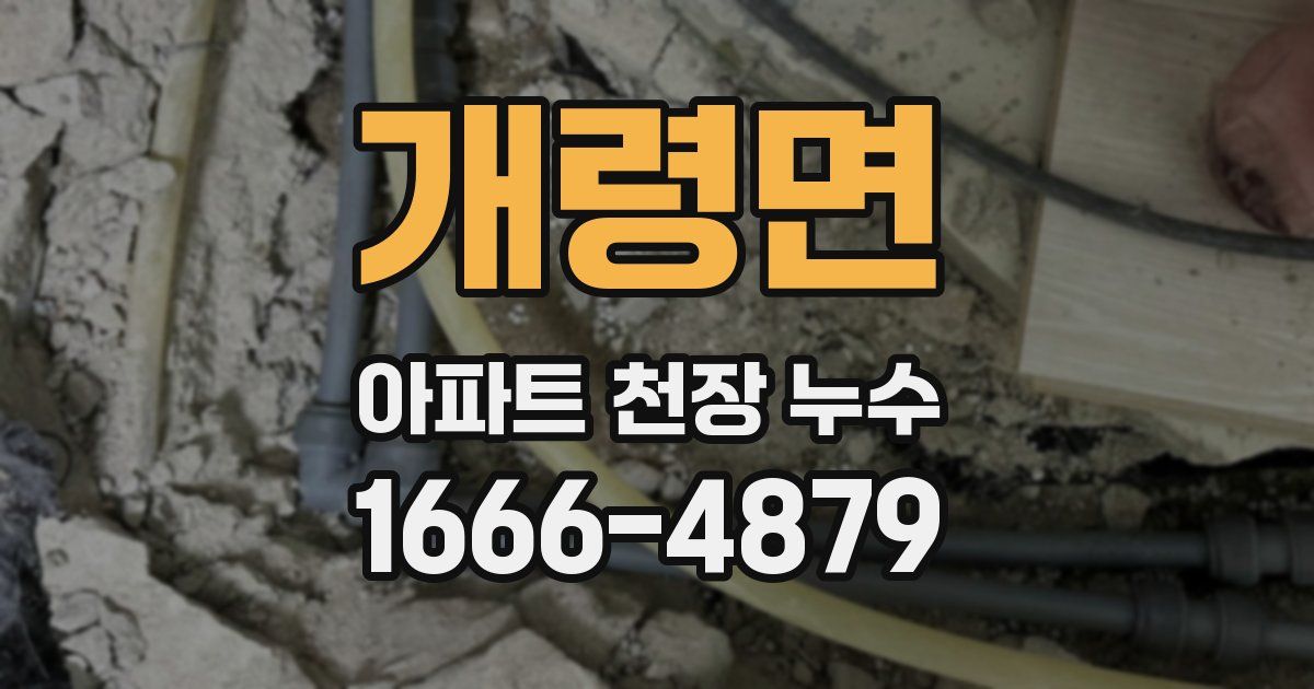 개령면 아파트 천장 누수