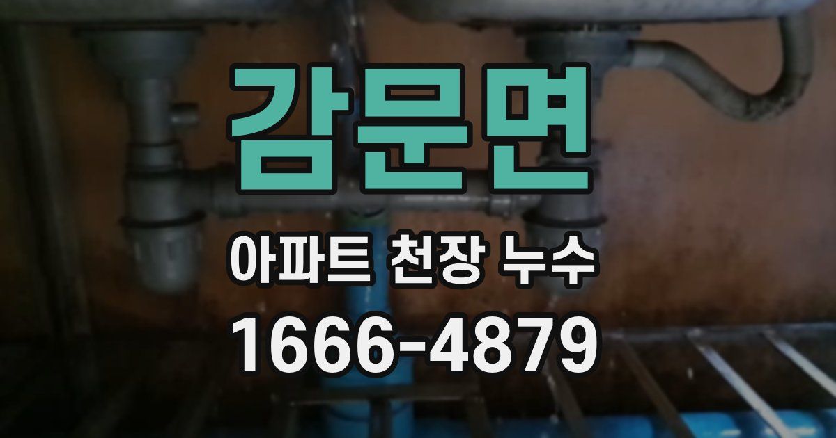 감문면 아파트 천장 누수