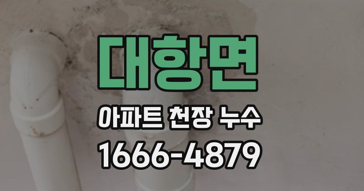 대항면 아파트 천장 누수