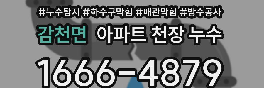 감천면 아파트 천장 누수