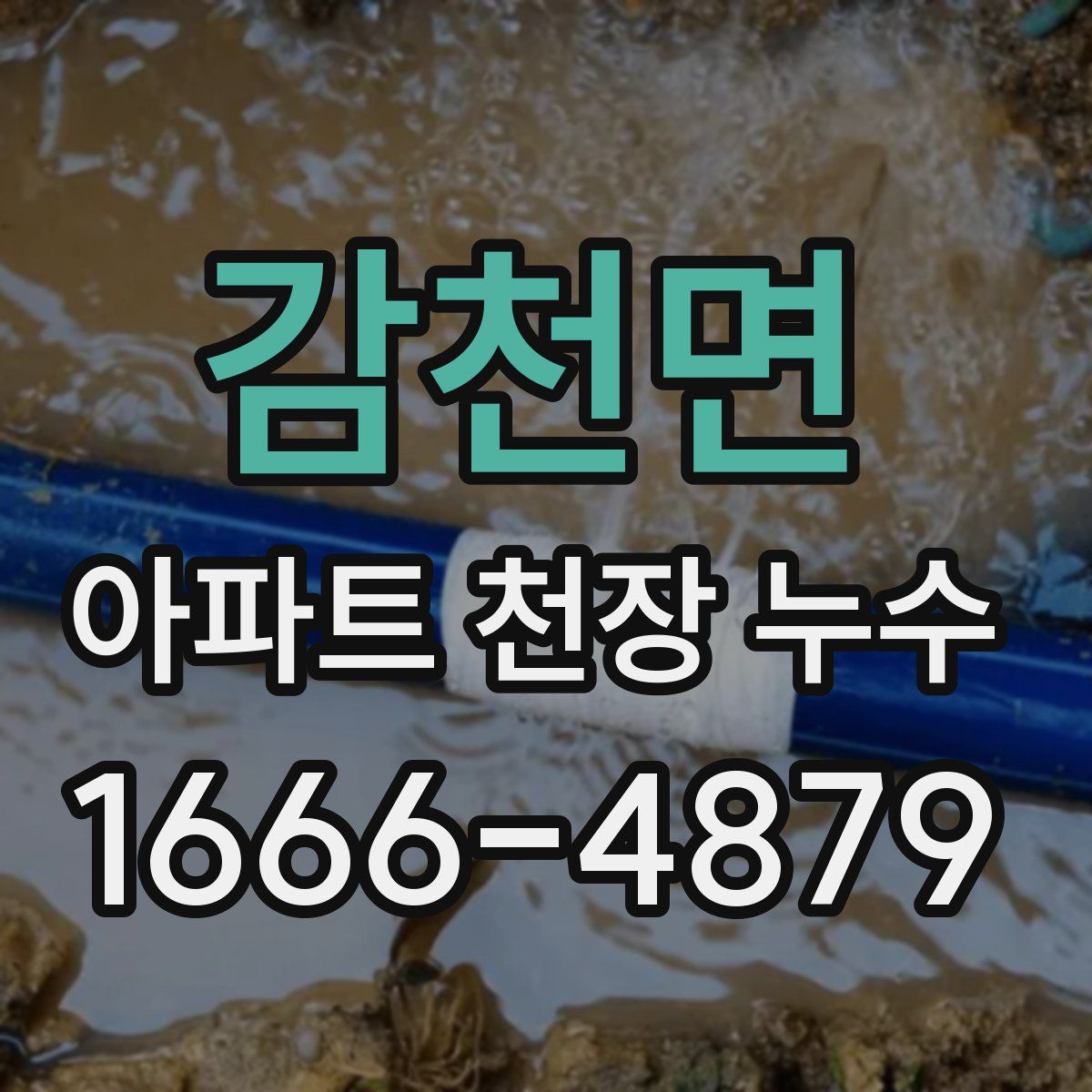 감천면 아파트 천장 누수
