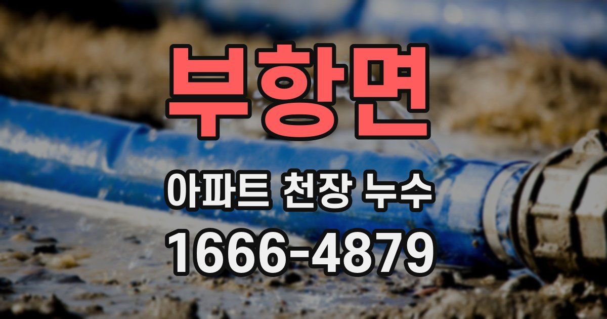 부항면 아파트 천장 누수