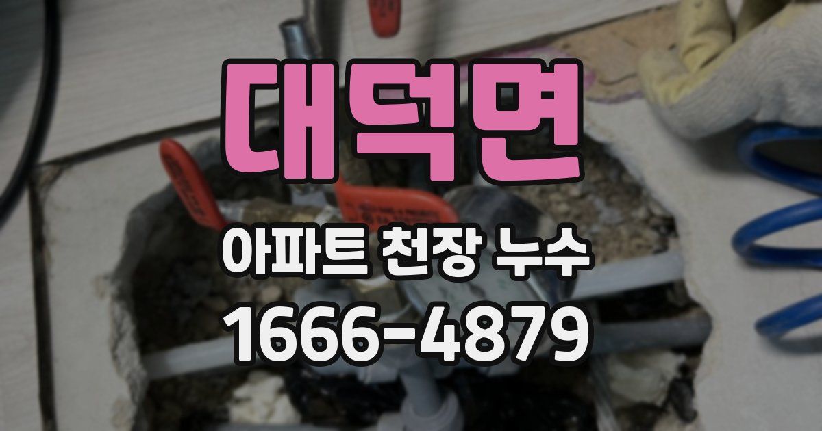 대덕면 아파트 천장 누수