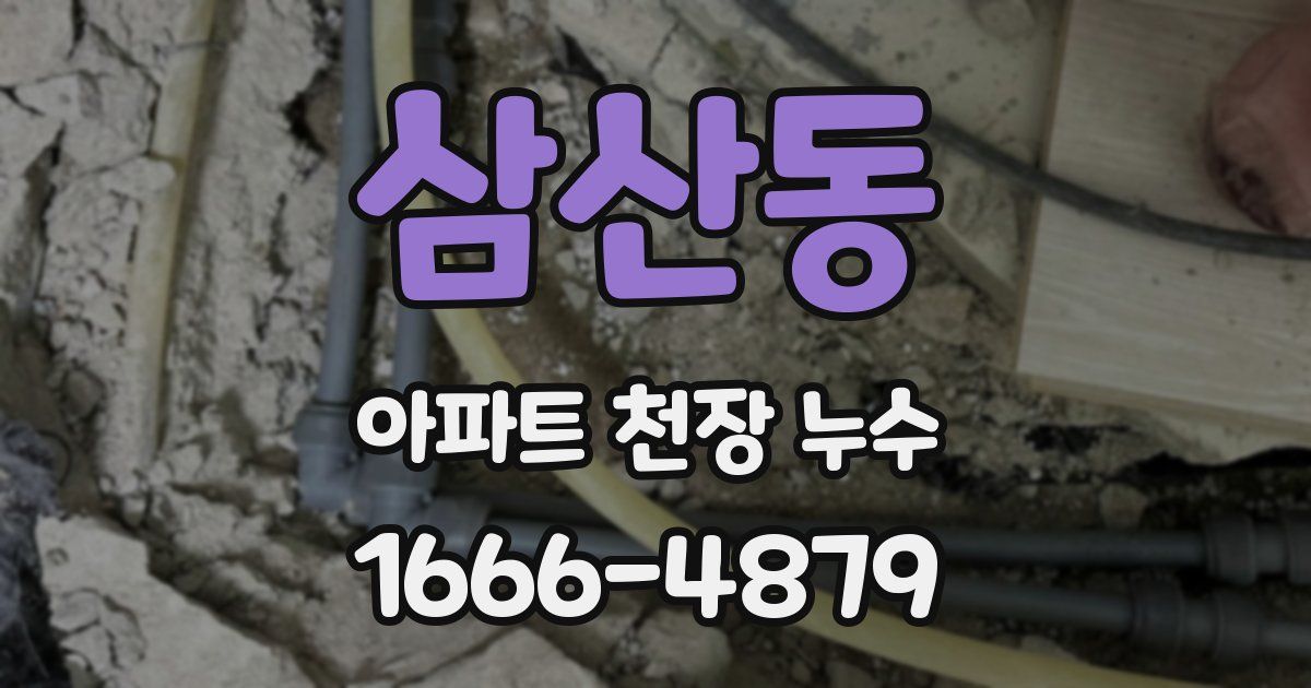 삼산동 아파트 천장 누수