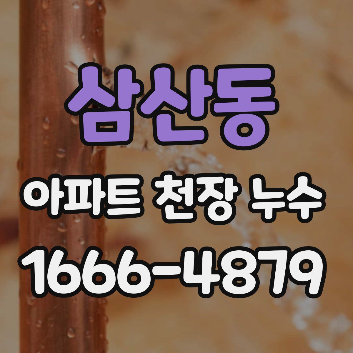 삼산동 아파트 천장 누수