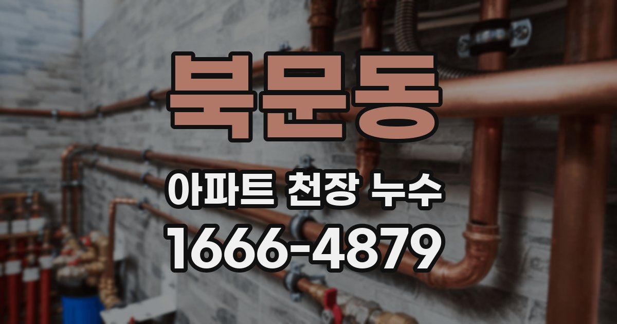 북문동 아파트 천장 누수