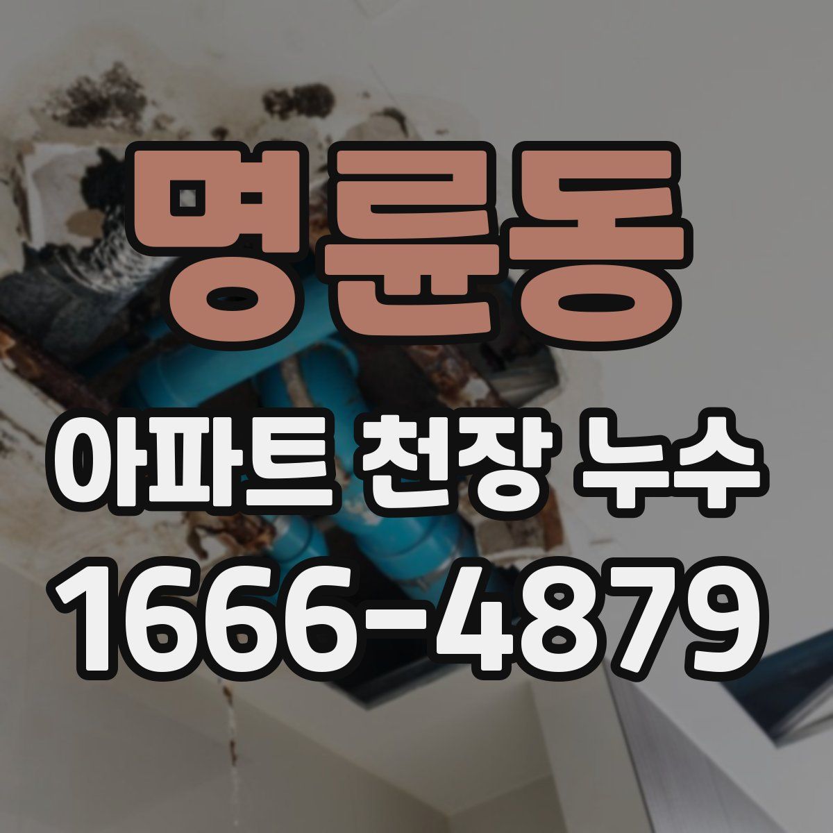 명륜동 아파트 천장 누수