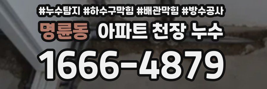 명륜동 아파트 천장 누수