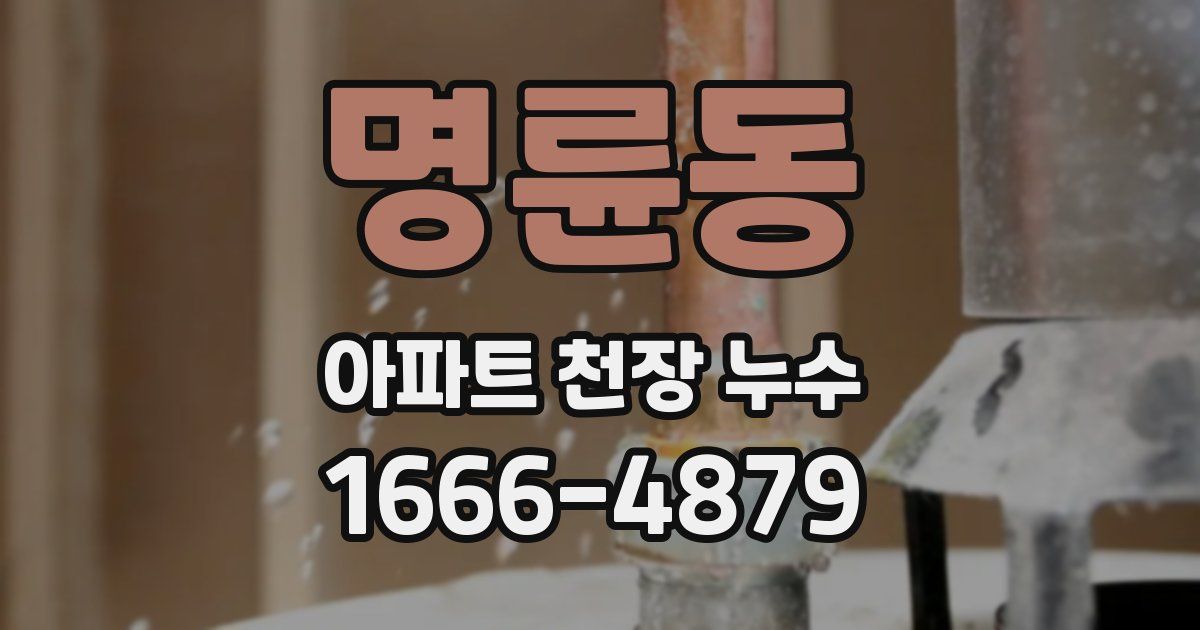 명륜동 아파트 천장 누수