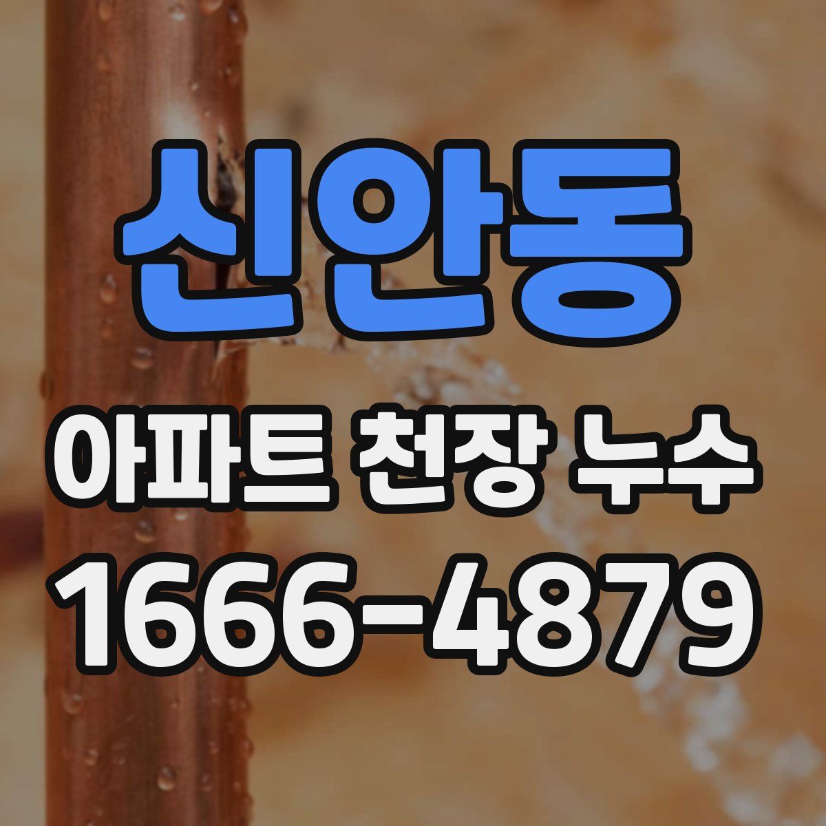 신안동 아파트 천장 누수