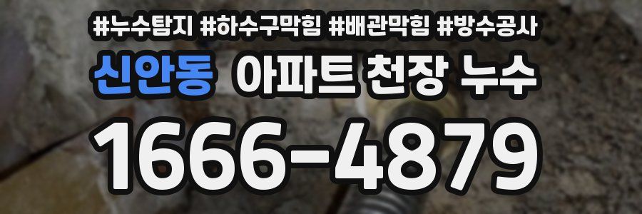 신안동 아파트 천장 누수