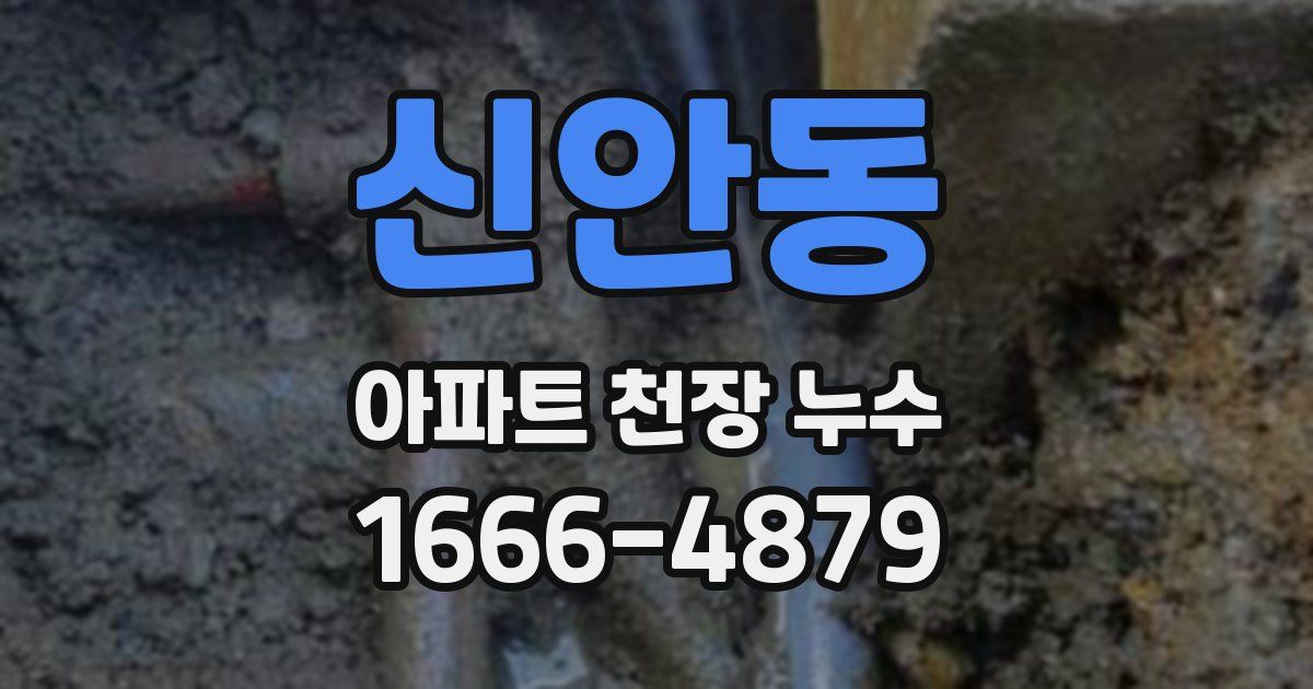 신안동 아파트 천장 누수