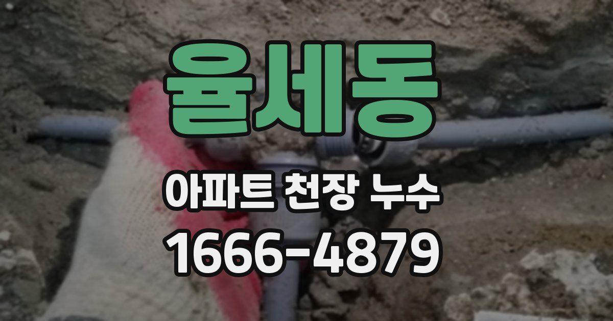 율세동 아파트 천장 누수