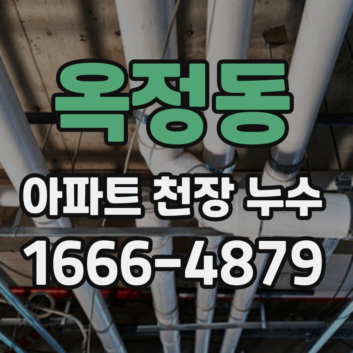 옥정동 아파트 천장 누수