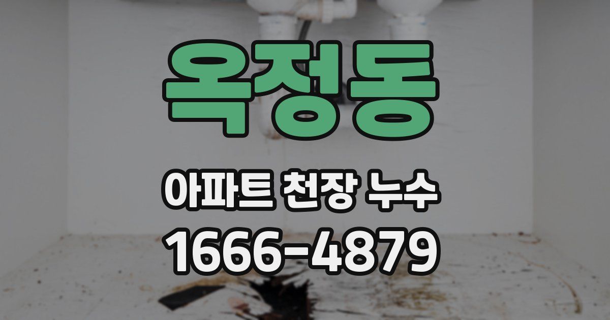 옥정동 아파트 천장 누수