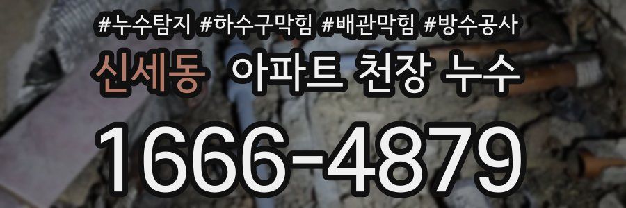 신세동 아파트 천장 누수