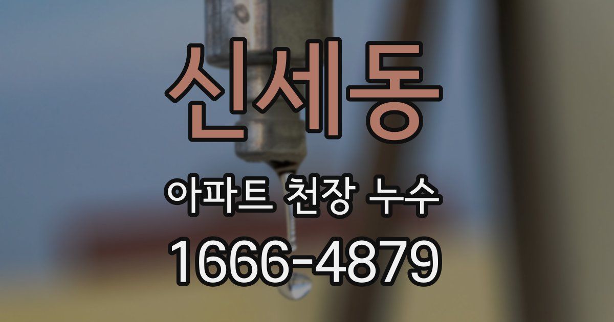 신세동 아파트 천장 누수