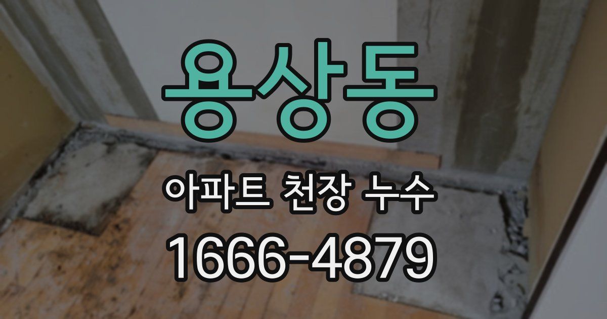 용상동 아파트 천장 누수
