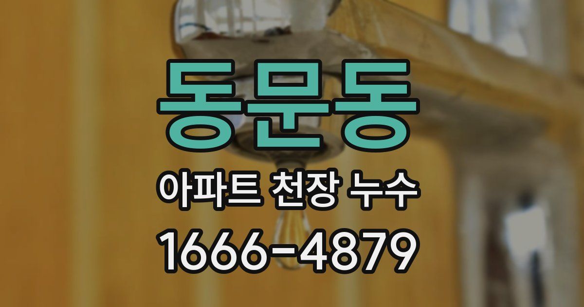 동문동 아파트 천장 누수