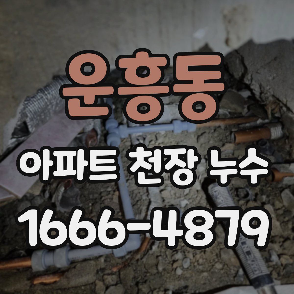 운흥동 아파트 천장 누수