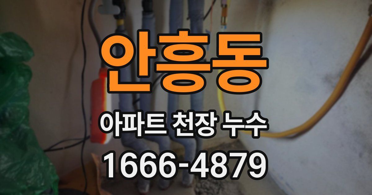 안흥동 아파트 천장 누수