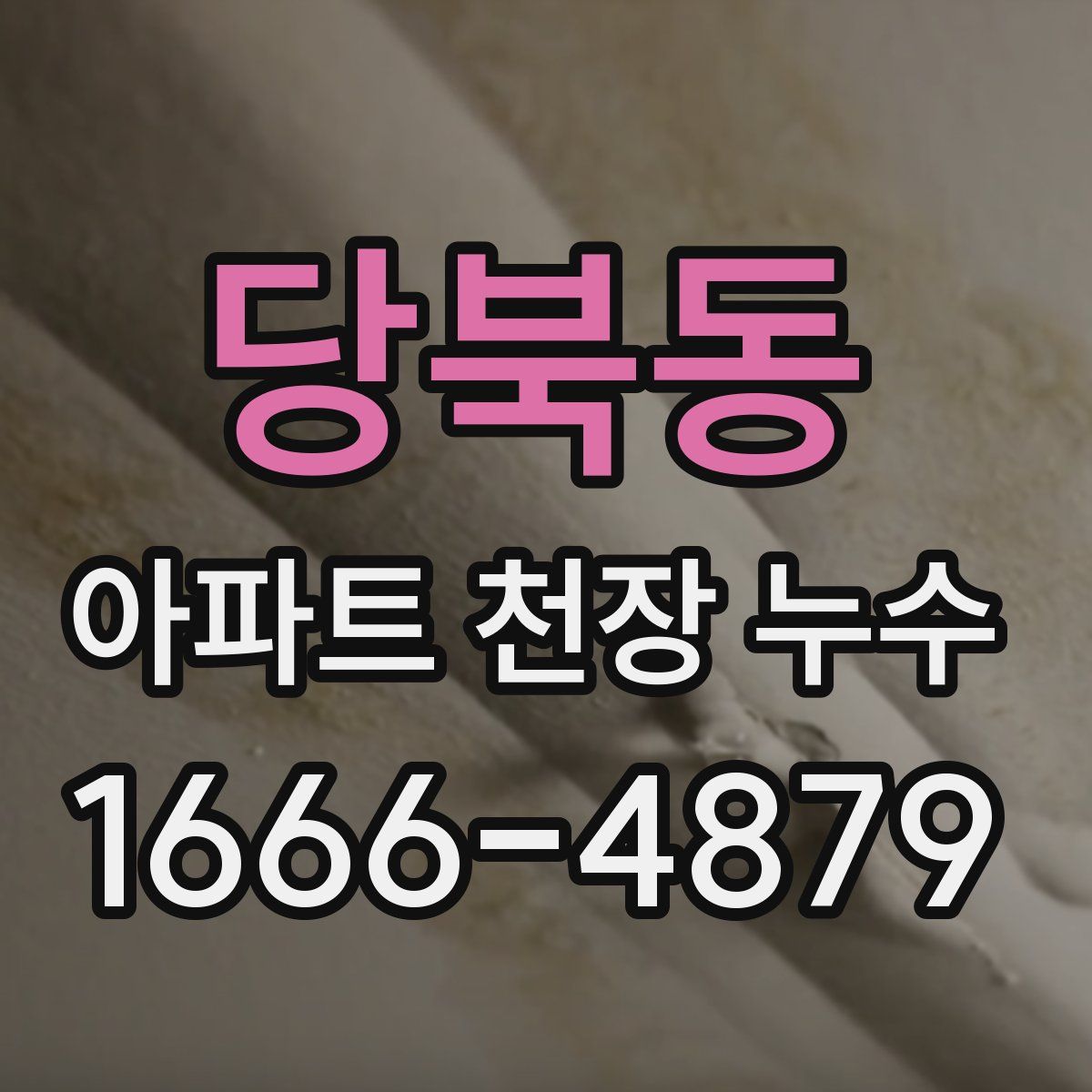 당북동 아파트 천장 누수